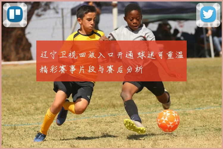 辽宁卫视回放入口开通 球迷可重温精彩赛事片段与赛后分析