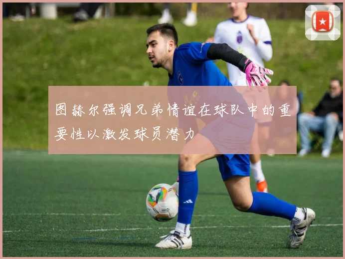 图赫尔强调兄弟情谊在球队中的重要性以激发球员潜力